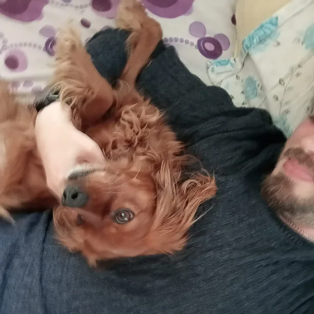 Köpeği "Kuduz" ile